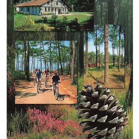Location Airial Landais Holiday home *